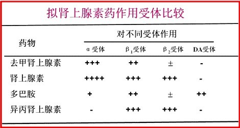 2013执业药师药理学:肾上腺素受体激动药 201