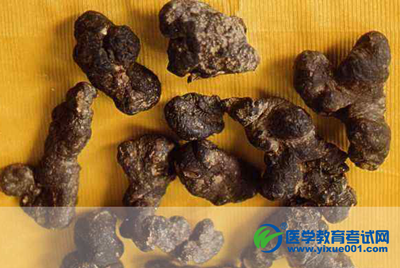 2014年初级中药师:茯苓和猪茯苓比较 英语四级