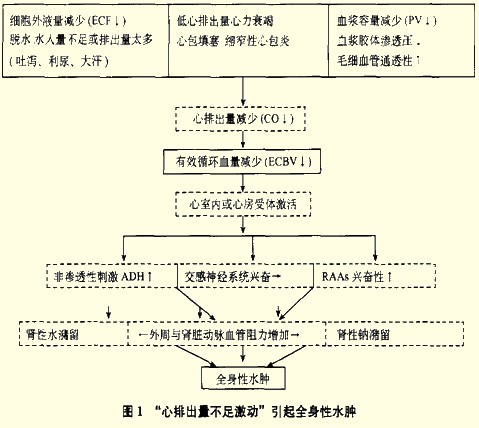 2014年内科主治医师:水肿2 2011执业医师考试