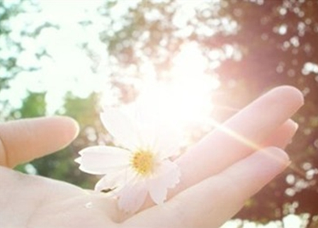 2016考研专业课:心理学之其他感觉 一级建造师