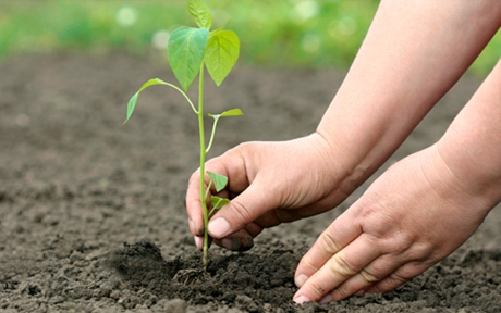 2016考研专业课:心理学之知觉(4) 一级建造师,