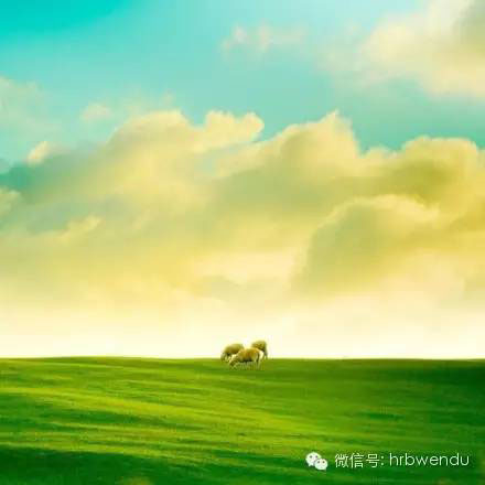 哈尔滨文都考研_考研辅导班_哈尔滨考研首选