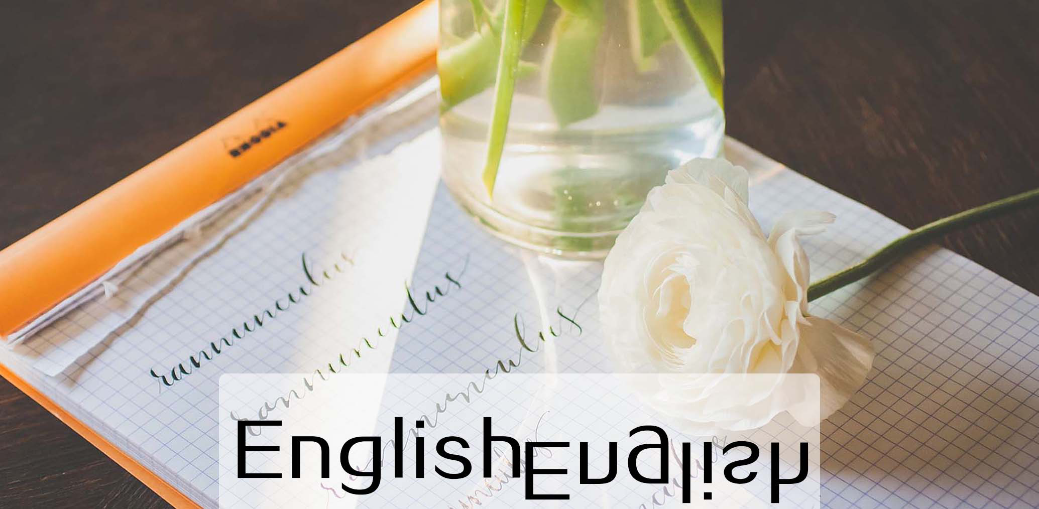 2017考研:一正一反,英语复习两面观 - 考研英语