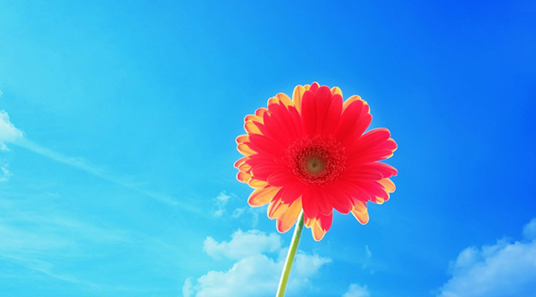 考研,你改变的可不仅仅是学历 - 考研复习指导