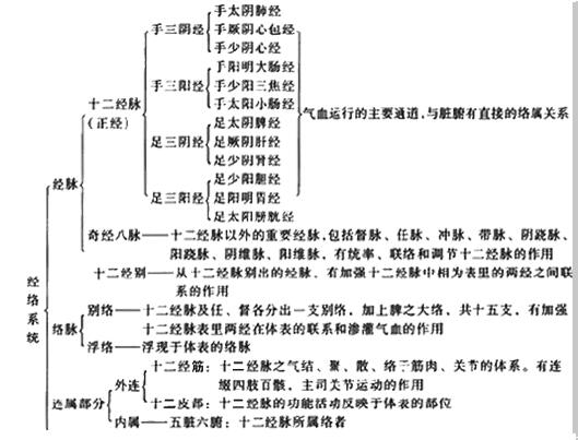 经络系统组成简表