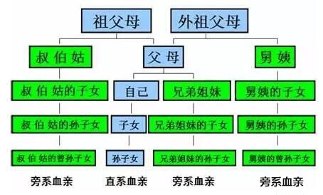 公务员回避制度_回避公务员制度的情形_回避公务员规定
