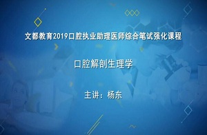 2019口腔执业助理医师—口腔解剖生理学试听课10